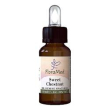 sweet chestnut fiori mediter