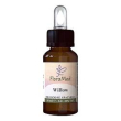 willow fiori mediter gocce10ml