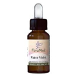 water violet fiori mediter gtt