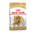 bhn golden retriever ad 12kg