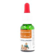 rimedio studio&lav20ml visanim