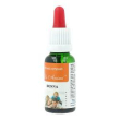 rimedio donna 20ml visanimi