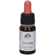 hermesvin 10 ml ml soluzione orale