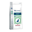 diet neutered dog ad small 1,5kg minsan 913523294