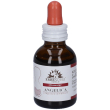 fitomater angelica 50 ml ml