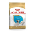 rc bulldog francese junior 30 1kg minsan 913758963