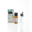 issopo sommita' oe 10ml