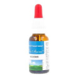 alloro rimedio 20ml flosanimi