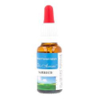 sambuco rimedio 20ml flosanimi