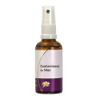 angel's trumpet 30ml
