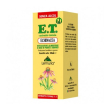 echinacea 30ml