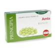 amla estratto secco 60cpr