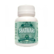 shatavari asparagus 60cpr