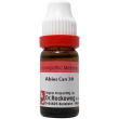 abies canadensis 30 ca