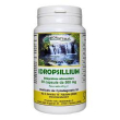 idropsillium 90cps