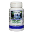 idroflora 1 40cps