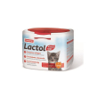 lactol latte gattino powd 250g