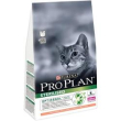 pp cat sterilised salmone 1,5kg   12369071
