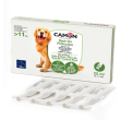 spot-on protection - protezione naturale delicata per cani oltre gli 11 kg 5 fiale da 5 ml