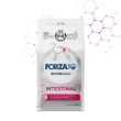 forza 10 cane intestinal active adult allsize 4 kg