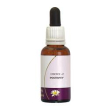 rescue night s/alcool 10ml