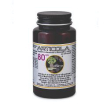 articola 80tav