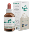 les aesculus hippocastanum gocce 50 ml - integratore per la circolazione sanguigna