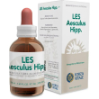 les aesculus hippocastanum50ml