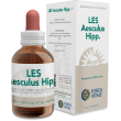 les aesculus hippocastanum50 ml