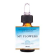 my flowers fiori mediter gocce
