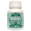 niruri phyllantus n integratore per la funzione epatica 60 compresse