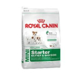 rc mini starter m&b 1kg minsan 921504597