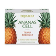 ananas cel tisana bio 20bs erbam