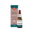 ginepro olio essenziale 10ml - olio puro al 100% per aromaterapia