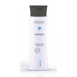 riderma shampoo 200ml