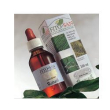 galega tintura madre 100ml