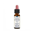 star of bethleh tb gocce 10ml