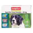protezione nat spot on cane tg