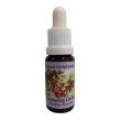 primo conforto crema bio 50 ml