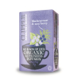 clipper infuso ribes 20 filtri