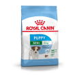 shn mini puppy 8kg