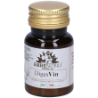 digesvin 60 pz compresse