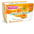 plasmon omogeneizzato sapori di natura albicooca e banana 4 x 100 grammi