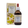 erbamea juglans regia noce bio 50 ml - integratore polivalente adatto alla pelle e alla digestione