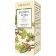 juglans regia noce bio 50 ml - gemmoderivato di noce biologica