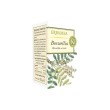 erbamea boswellia 50 capsule - integratore per le articolazioni