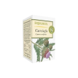 erbamea carciofo 50 capsule vegetali - integratore per la funzionalità epatica
