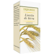 lievito birra 250 compresse