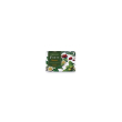 forte memo 24cps erbamea