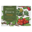 forte energy 24cpr